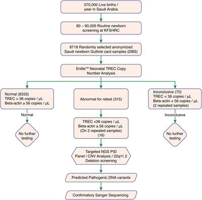 High Incidence of Severe Combined Immunodeficiency Disease in Saudi Arabia Detected Through Combined T Cell Receptor Excision Circle and Next Generation Sequencing of Newborn Dried Blood Spots